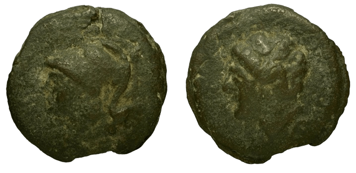 015AN – Réf. Semis